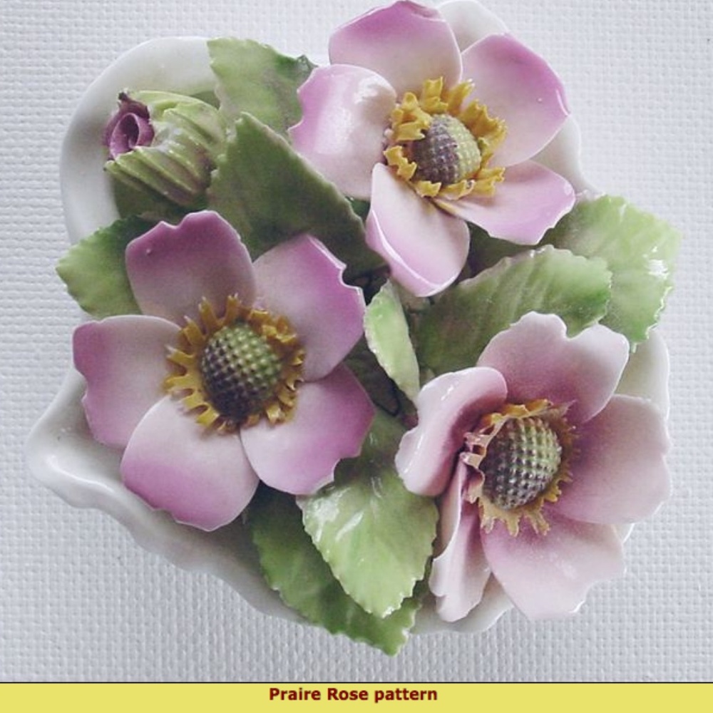 Royal Adderley Floral I Prairie Rose I Bone China Flower Cluster on Half-Shell
